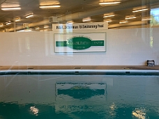 IMG_4492 Horse's Swimming Pool